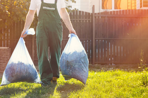Best Dumpster Rental Services  in Pandora, OH
